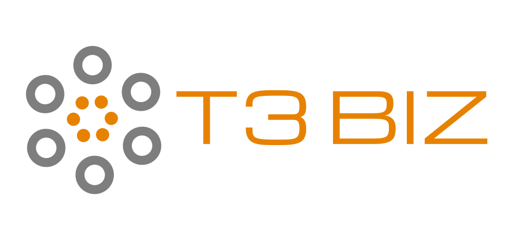 T3 BIZ 